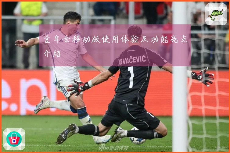 金年会移动版使用体验及功能亮点介绍