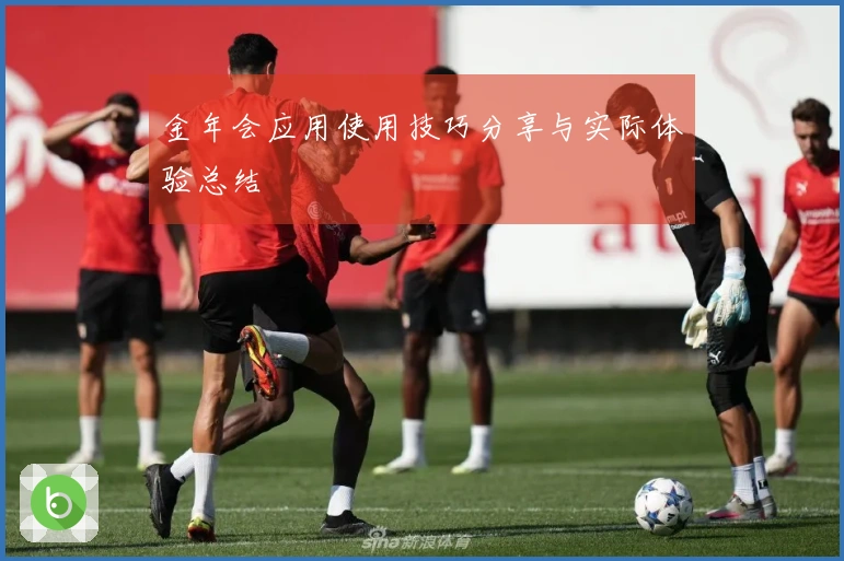 金年会应用使用技巧分享与实际体验总结